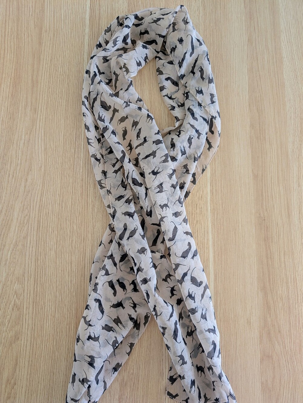 🐱 Cat Print Chiffon Scarf